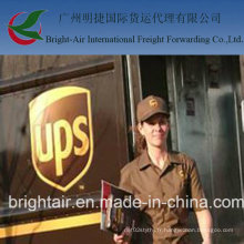 UPS International Courier Express de Chine en Autriche